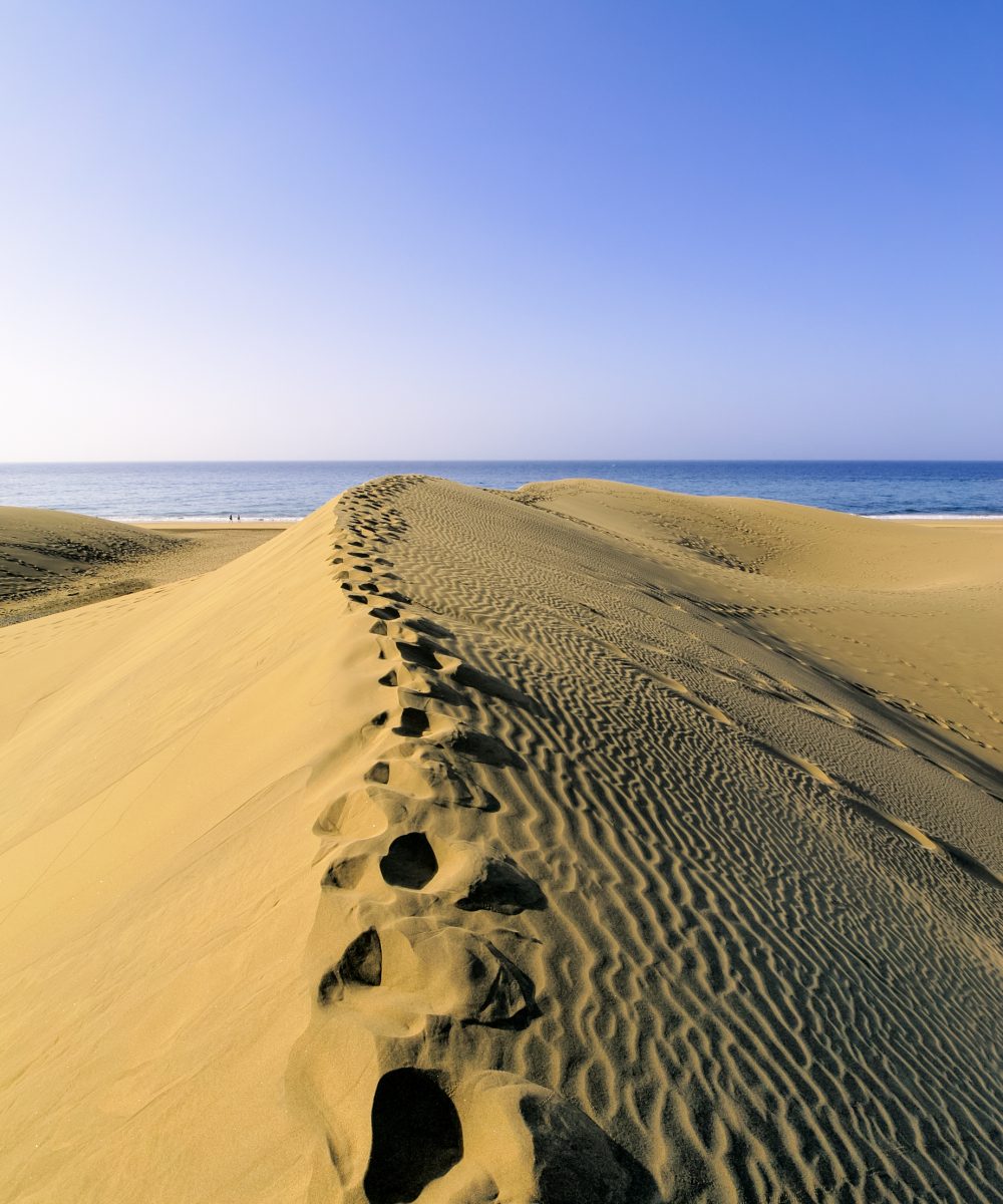 Gold Sand Maspalomas Dunes of Gran Canaria, Canary Islands, Spain